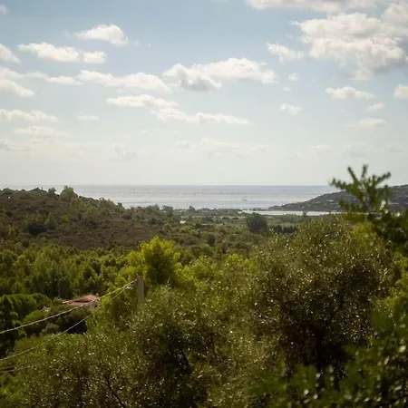 Salis Summer Apartment Domus De Maria